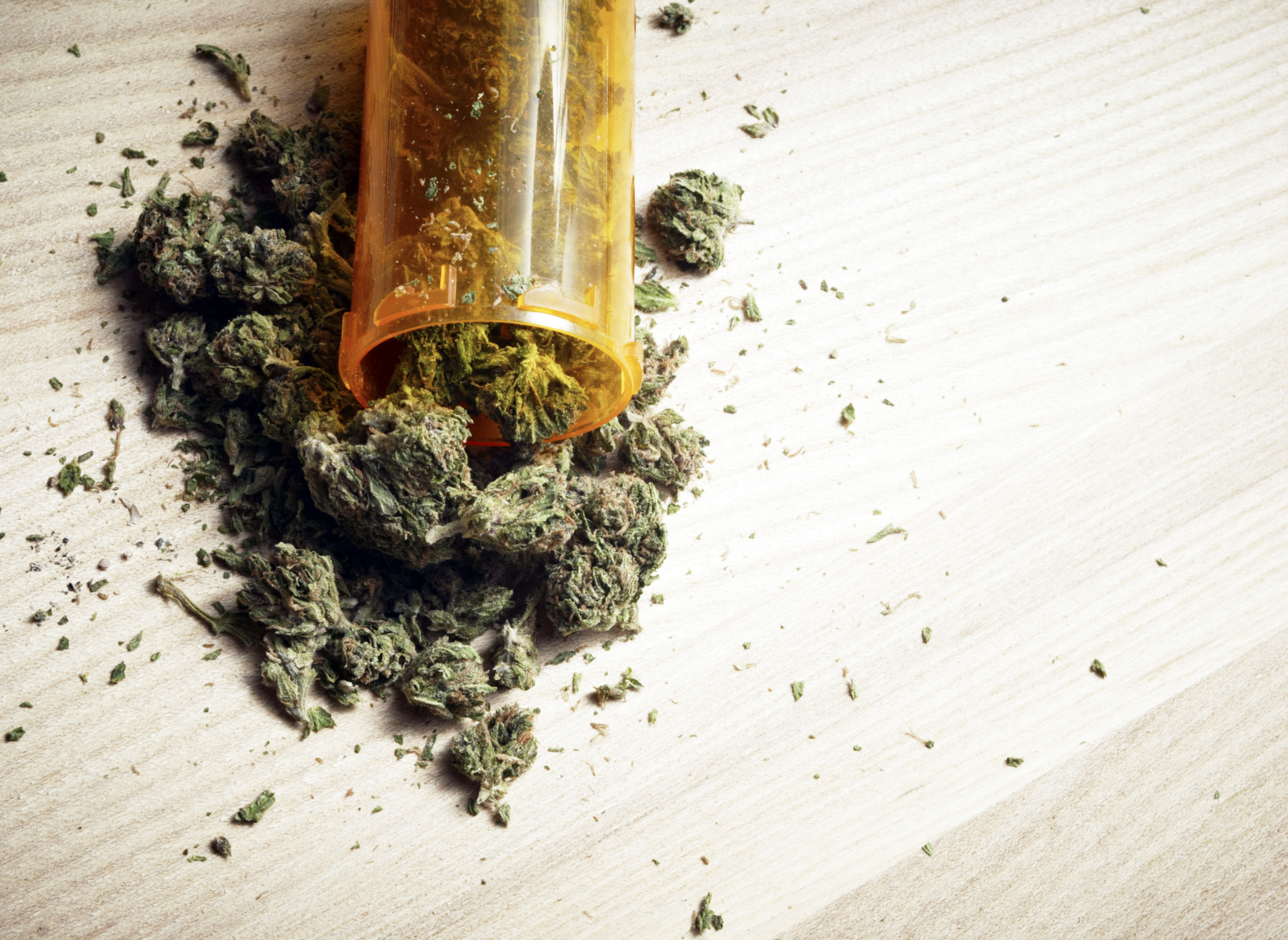 SJC Approves Legalized Marijuana Question on November Ballot